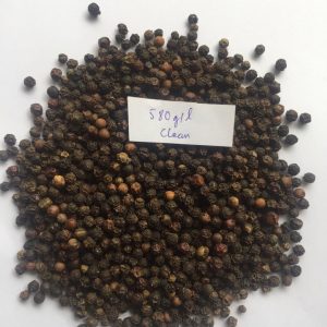 Black Pepper580gl (Large)